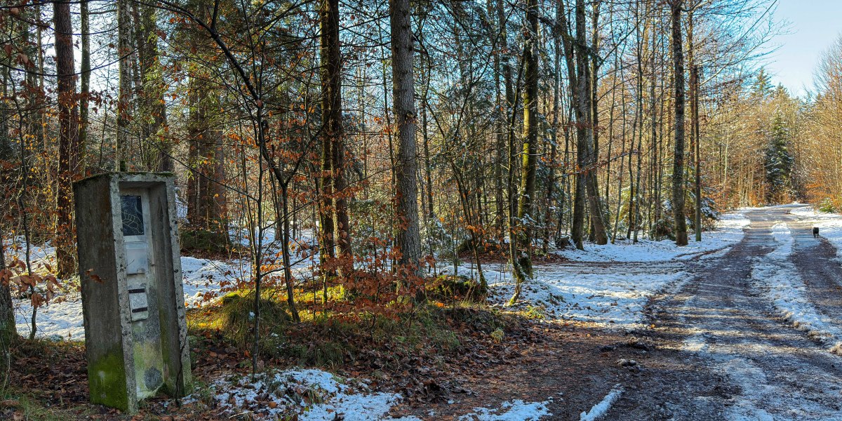 Bunkerwald_©StadtGeretsried, © Stadt Geretsried Bunkerwald_©StadtGeretsried, © Stadt Geretsried