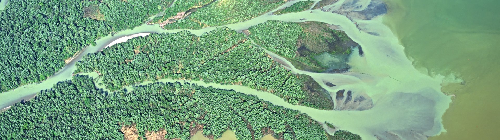 Natura 2000 Bild Delta der Tiroler Ache Chiemsee, © Edmaier-Bernhard Natura 2000 Bild Delta der Tiroler Ache Chiemsee, © Edmaier-Bernhard