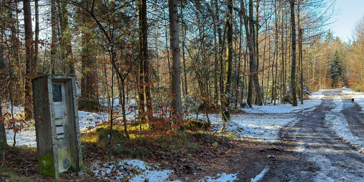 Bunkerwald_©StadtGeretsried, © Stadt Geretsried Bunkerwald_©StadtGeretsried, © Stadt Geretsried