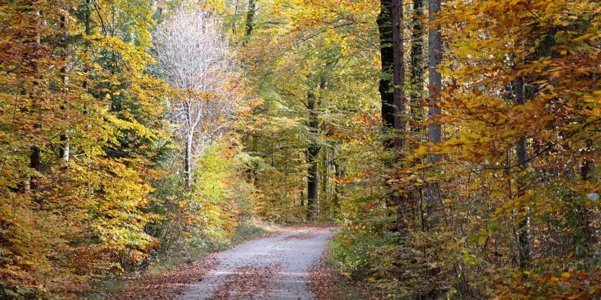 Fotoclub Geretsried P. Mihailowitsch_1183515, © Fotoclub P. Mihailowitsch Fotoclub Geretsried P. Mihailowitsch_1183515, © Fotoclub P. Mihailowitsch