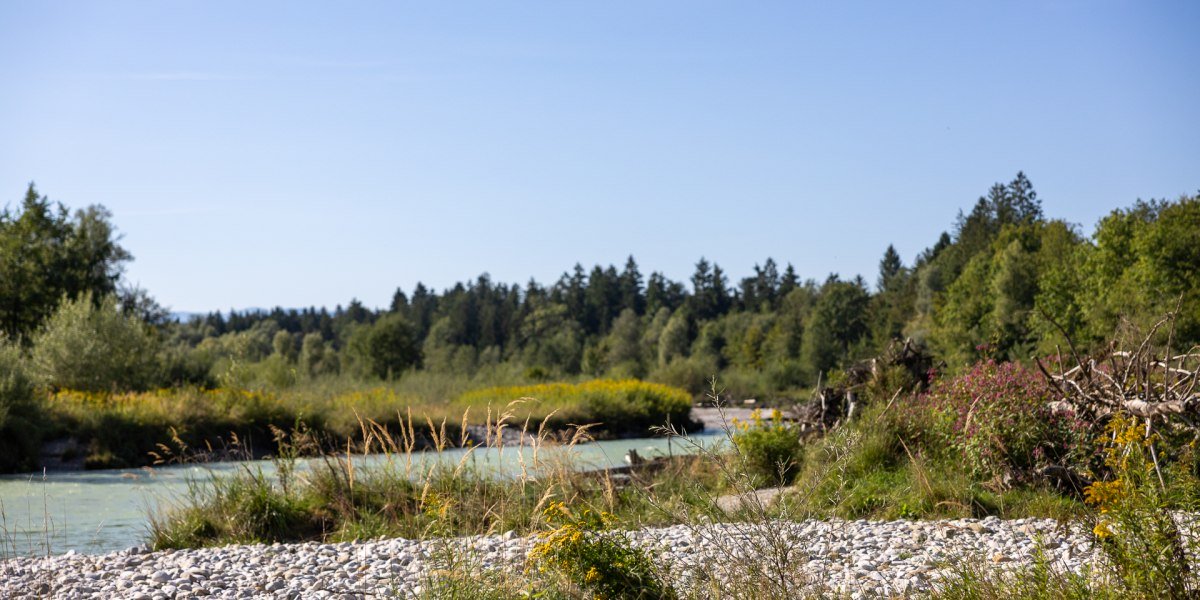 Wandern_Isarabenteuer_Foto1_IsarmitVegetation_4K1A2462_©Farmhouse7, © Framhouse7 Wandern_Isarabenteuer_Foto1_IsarmitVegetation_4K1A2462_©Farmhouse7, © Framhouse7