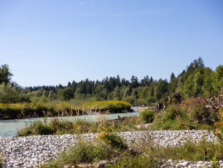 Wandern_Isarabenteuer_Foto1_IsarmitVegetation_4K1A2462_&copy;Farmhouse7, &copy; Framhouse7