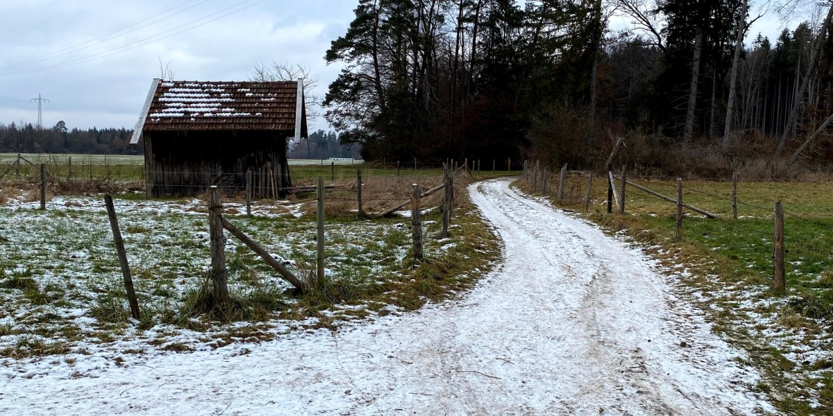 Waldweg Buchberg, © Unbekannt