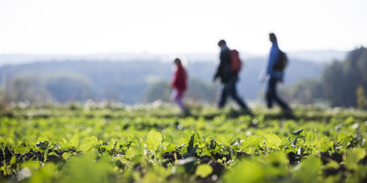 Schwaigwaller Höhe, © Tölzer Land Tourismus