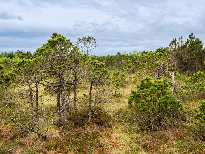 Moor, &copy; Stadt Geretsried