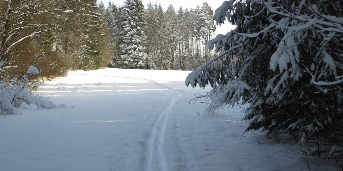 weiter in Richtung Bibisee, &copy; T&ouml;lzer Land Tourismus