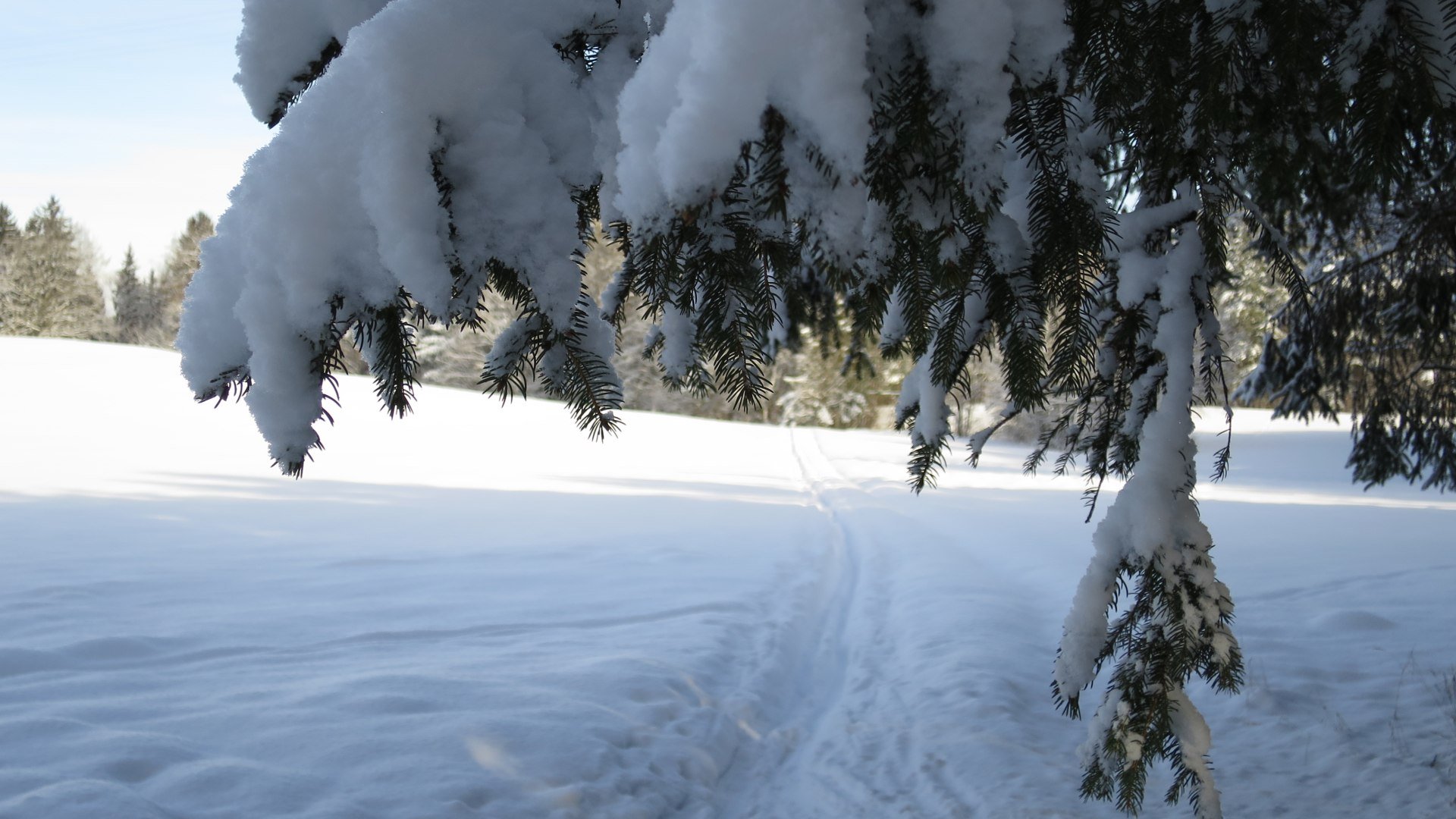 Langlauf in Geretsried, &copy; Stadt Geretsried