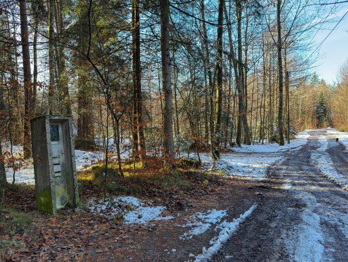 Bunkerwald_&copy;StadtGeretsried, &copy; Stadt Geretsried