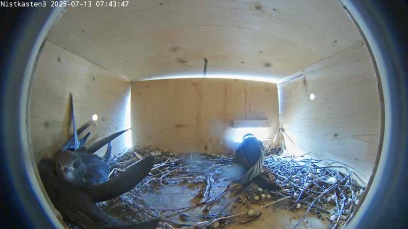 Bild 1, &copy; Stadt Geretsried