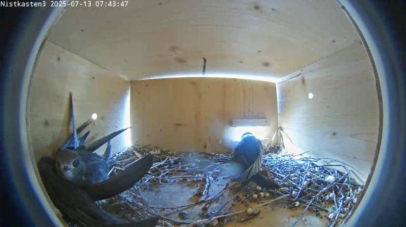 Bild 1, &copy; Stadt Geretsried