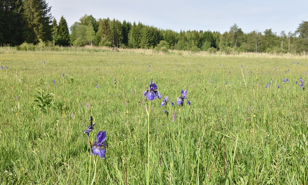 Radrundtour Tölzer Land Nord, © Community