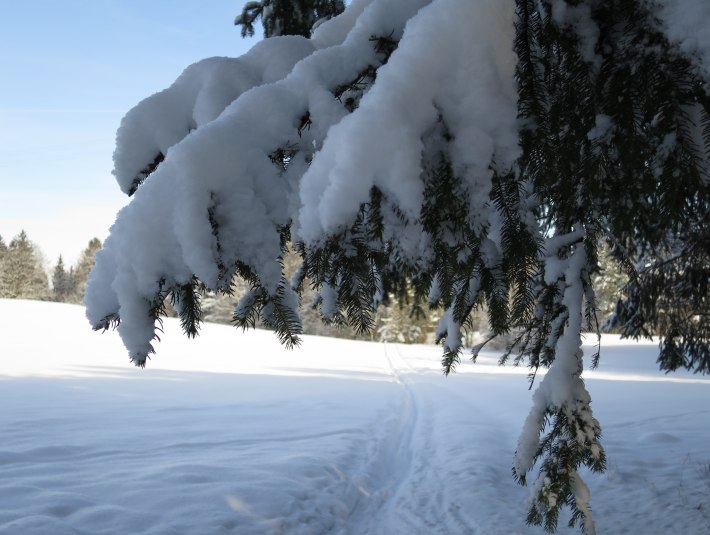 Langlauf in Geretsried, © Stadt Geretsried