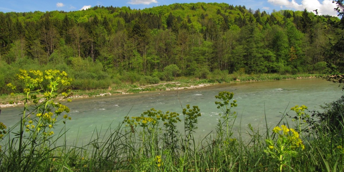 Geretsried- Zur Isarbrücke und in die Wildnis, © Stadt Geretsried