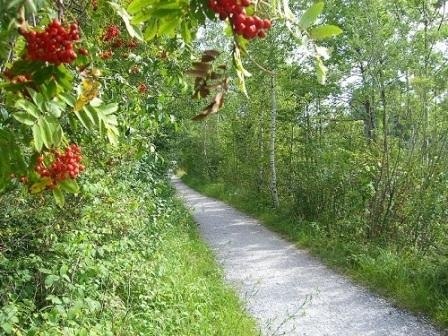 Isarwanderweg, © Tölzer Land Tourismus