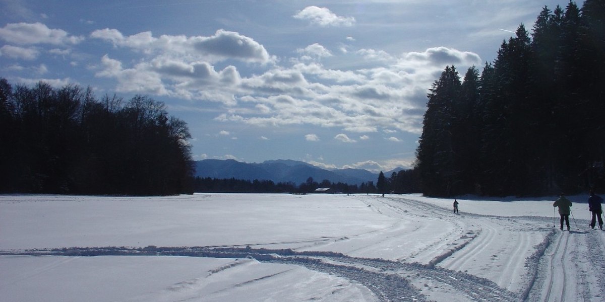 sonnige Loipe Königsdorf - Wiesen, © Tölzer Land Tourismus