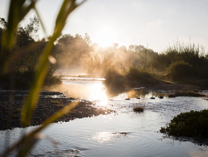 Isar im Morgennebel