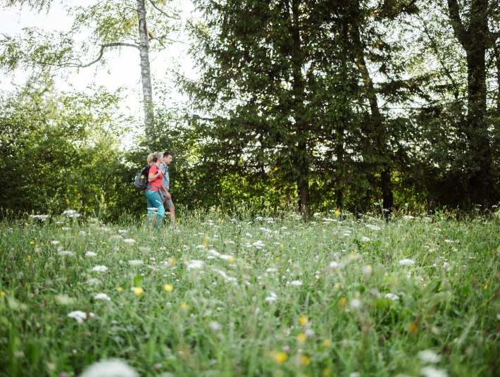 Wander mit schöner Wiese, © Leonie Lorenz