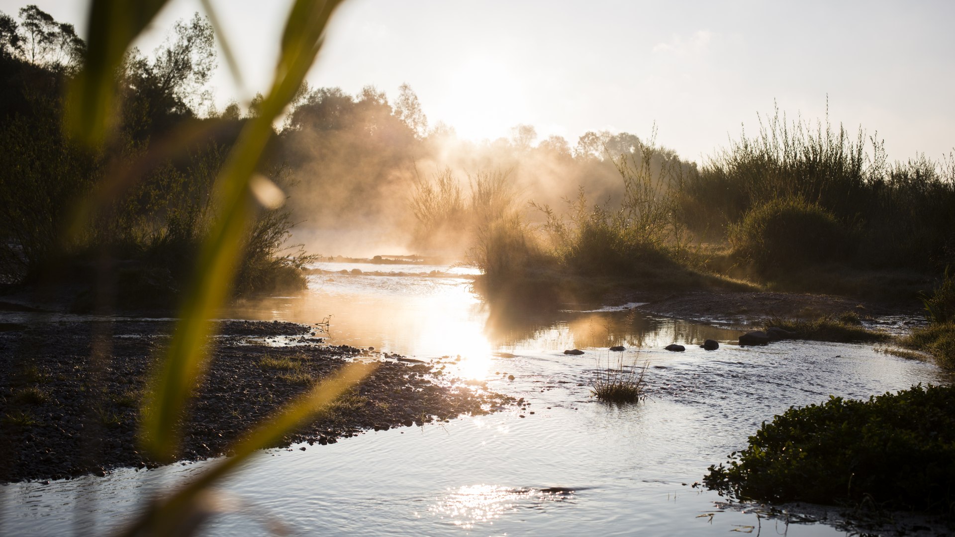 Isar im Morgennebel